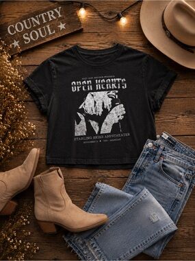 Hollister Graphic Crop Top